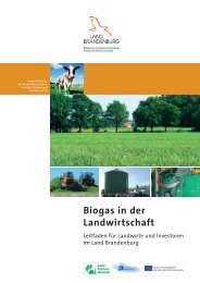 Biogas in der Landwirtschaft - baltic biomass network