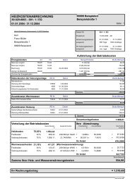 Heizkostenabrechnung MUSTER
