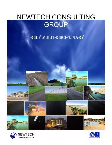 NEWTECH CONSULTING GROUP