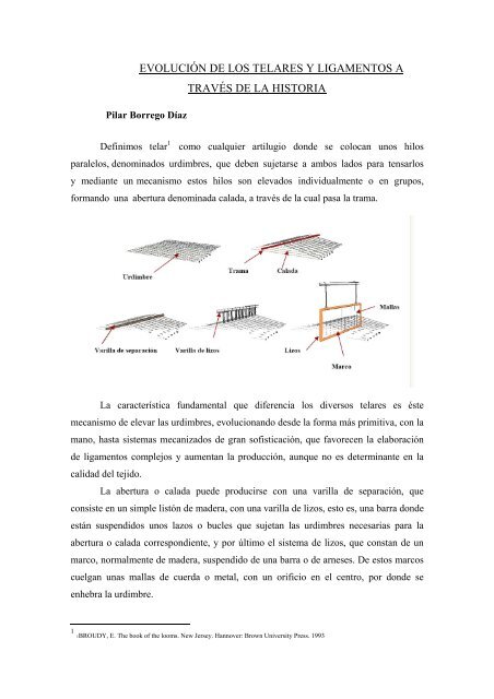 evoluciÃ³n de los telares y ligamentos a travÃ©s de la historia