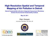 DetroitSustainabilit.. - Graham Sustainability Institute - University of ...