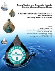 Stormy Weather and Stormwater Impacts - MSU Center for Water ...