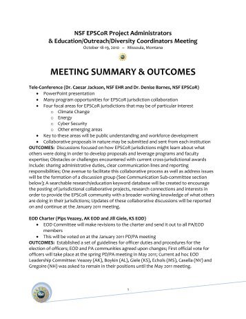 1 1 MEETING SUMMARY & OUTCOMES