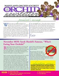 November 2012 - Maryland Orchid Society
