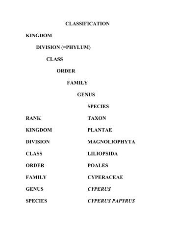classification kingdom division (=phylum) class order family genus