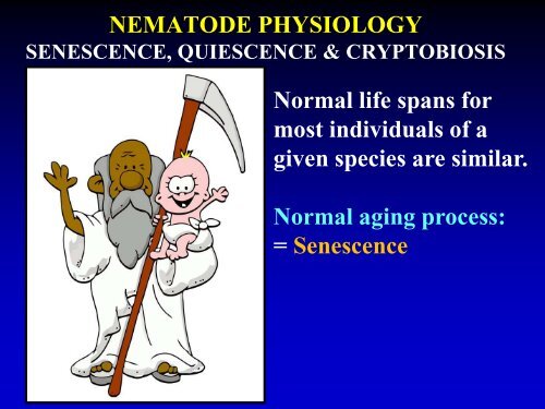 NEMATODE EXCRETORY SYSTEM