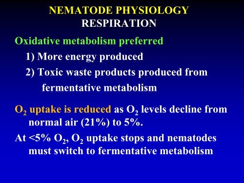 NEMATODE EXCRETORY SYSTEM