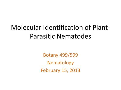 Molecular Identification of Plant-parasitic Nematodes