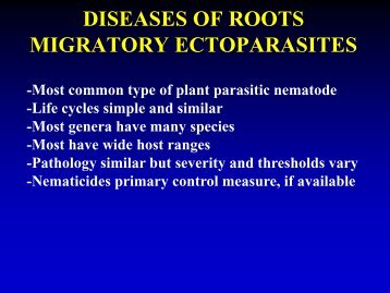 DISEASES OF ROOTS MIGRATORY ECTOPARASITES