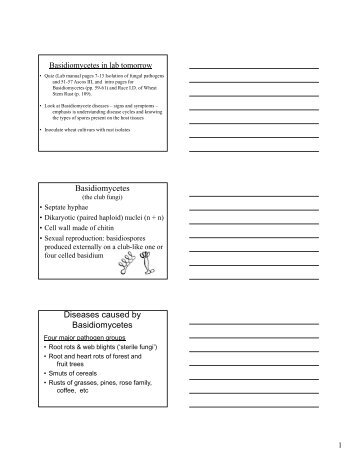 Basidiomycetes Diseases caused by Basidiomycetes