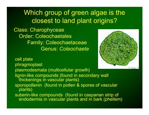 Origin of Land Plants (Embryophytes)