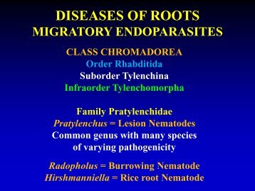 DISEASES OF ROOTS MIGRATORY ECTOPARASITES