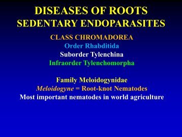 Sedentary endoparasites