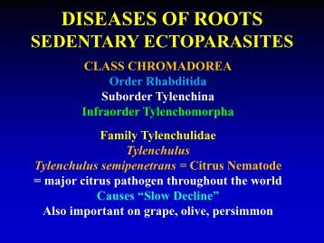 DISEASES OF ROOTS MIGRATORY ECTOPARASITES