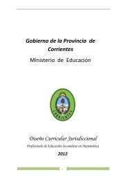 Gobierno de la Provincia de Corrientes Ministerio de EducaciÃ³n ...