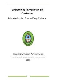 Gobierno de la Provincia de Corrientes - DirecciÃ³n General de ...