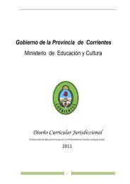 Gobierno de la Provincia de Corrientes - DirecciÃ³n General de ...