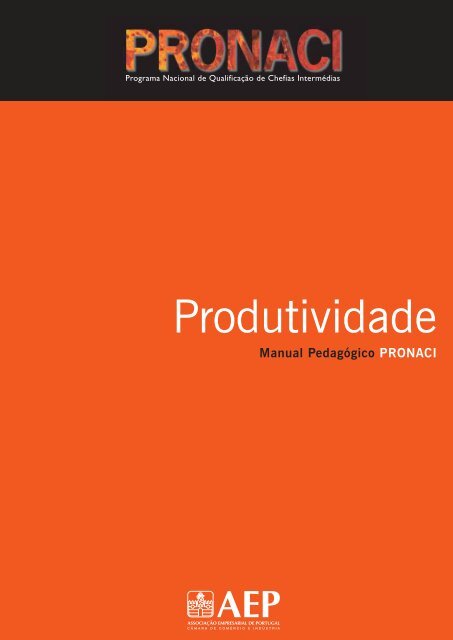 Produtividade.pdf - Programa de FormaÃ§Ã£o PME - AEP