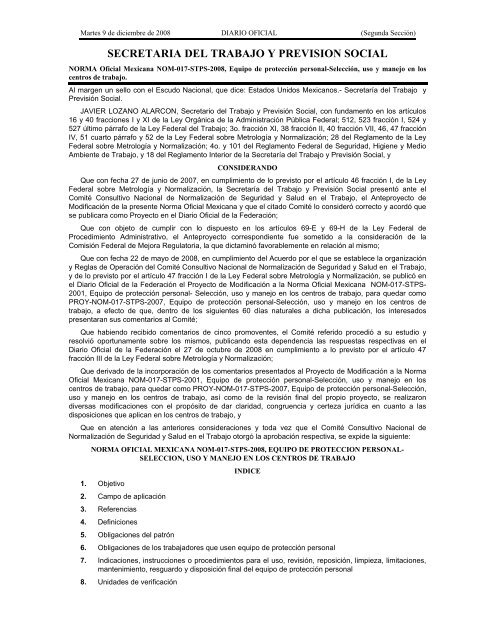 NOM-017-STPS-2008 - Normas Oficiales Mexicanas de Seguridad y ...