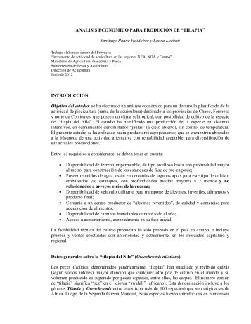 analisis economico para produciÃ³n de tilapia - Ministerio de ...