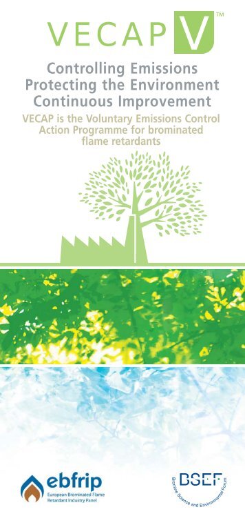 VECAP general leaflet on Brominated Flame Retardants