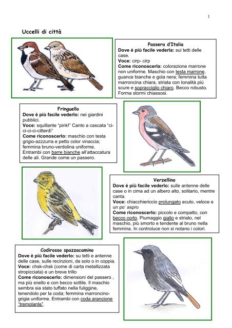 suono pernacchia scarica