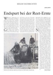 Endspurt bei der Reet-Ernte - Hiss Reet