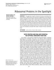 Ribosomal Proteins in the Spotlight - Daniel Wilson