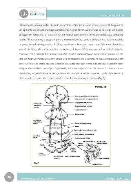 oitavo nervo craniano - Institutopaulobrito.com.br