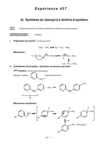 427 nitration du 2 benzylpyridine sept2007 - Ge.ch