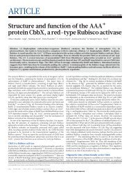 Structure and function of the AAA+ protein CbbX, a ... - Petra Wendler