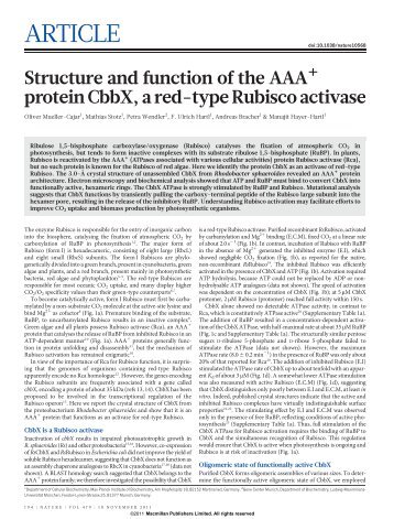 Structure and function of the AAA+ protein CbbX, a ... - Petra Wendler