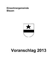 Voranschlag 2013 - Gemeinde Blauen