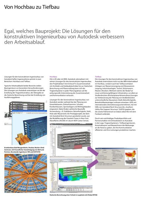 Autodesk Revit Structure - Team Heese AG