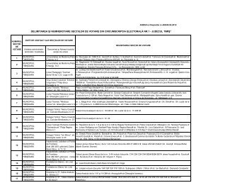 Dispozitia delimitare sectii votare TIMISOARA - Tion.ro