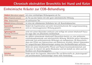 Chronisch obstruktive Bronchitis bei Hund und Katze ... - Zivet.de