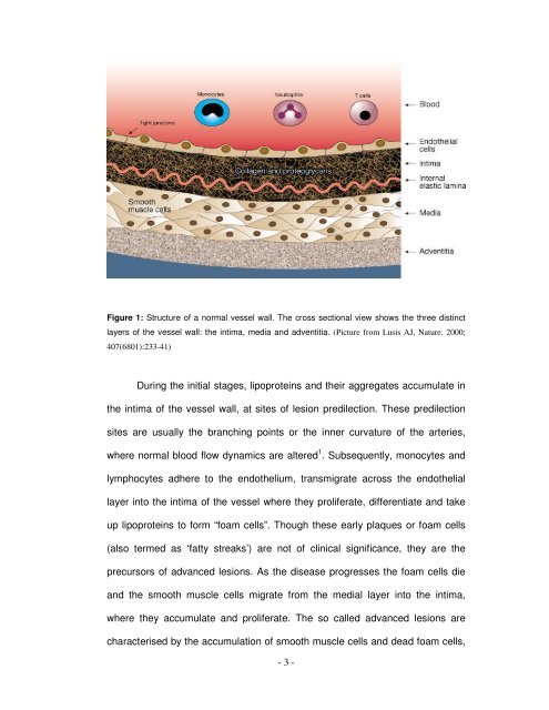 First 11 pages of thesis. - OPUS - Universität Würzburg