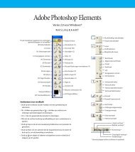Photoshop Elements 2.0 Naslagkaart voor Windows - DeDS