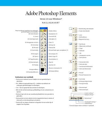 Photoshop Elements 2.0 Naslagkaart voor Windows - DeDS