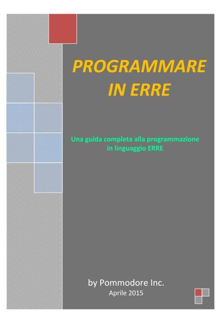 PROGRAMMARE IN ERRE