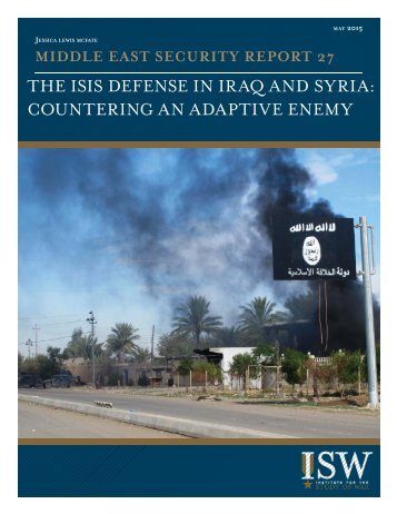 ISIS Defense in Iraq and Syria -- Standard