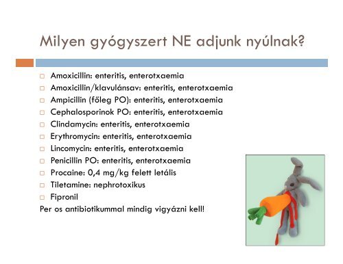 Dr.NÃ³grÃ¡di Anna Nyuszi Ã¼l a vÃ¡rÃ³teremben - MSD Animal Health