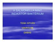 A SALMONELLA MINT INDIKÃTOR BAKTÃRIUM - MSD Animal Health