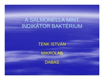 A SALMONELLA MINT INDIKÃTOR BAKTÃRIUM - MSD Animal Health