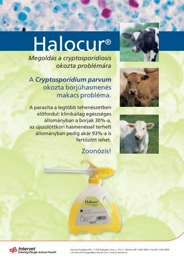 HalocurÂ® - MSD Animal Health