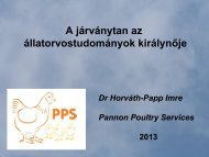 Dr HorvÃ¡th Papp Imre - MSD Animal Health
