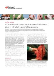 Az Actinobacillus pleuropneumoniae elleni vakcinÃ¡zÃ¡s akkor is ...