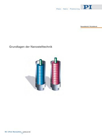 Grundlagen der Nanostelltechnik - PI