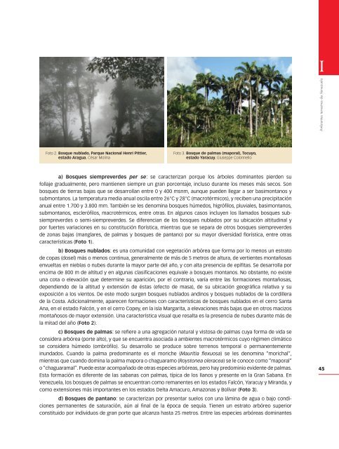 libro_rojo_ecosistemas_terrestre