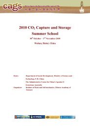 CAGS CCS Summer School Program [PDF 224KB]